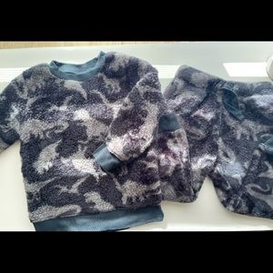 Cat & Jack Boys 3t Fleece Dinosaur Set Sold Out